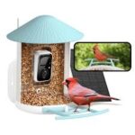 Birdfy – Get 15% Off Site-wide