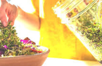 The Sprouting Company – Get 10% Off Site-wide